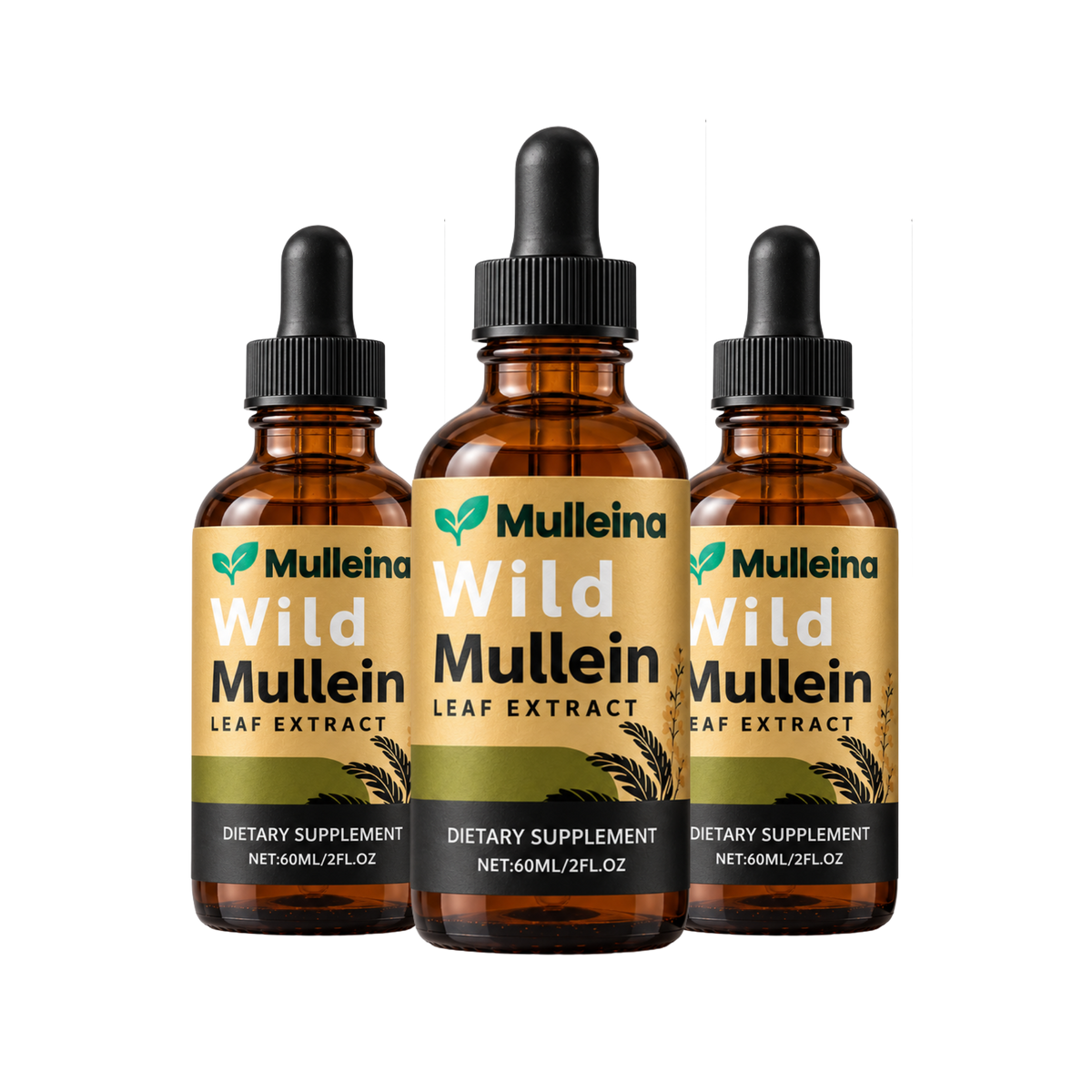 Mulleina