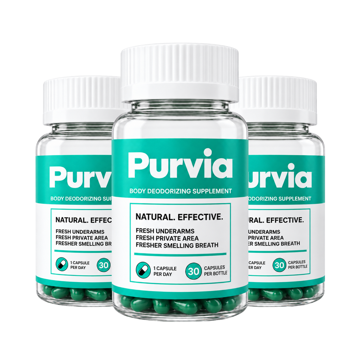 Purvia