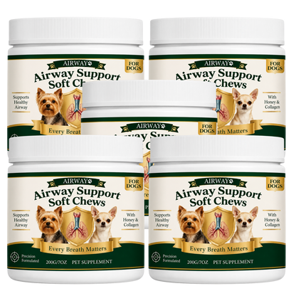 AirWay