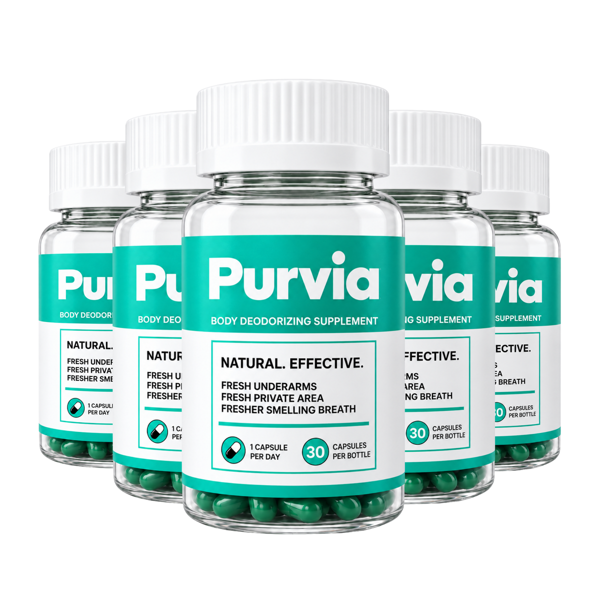 Purvia
